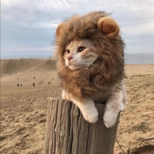 Meet your Posher, Stephen